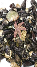 IMG-20170628-WA0001.webp