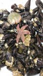 IMG-20170628-WA0001.jpg