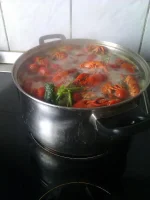 IMAG0359.webp