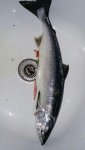 IMG-20170702-WA0001.jpg