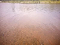 IMG-20170715-WA0000.webp