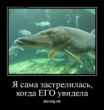 dm_temp_image_30508171744393718117.webp