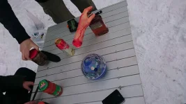 daytrips.webp