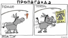 10161949.webp