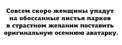 1503636189_13.webp