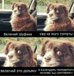 FB_IMG_1504433895432.webp