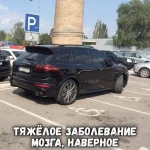 sU_L_QK679E-К.webp