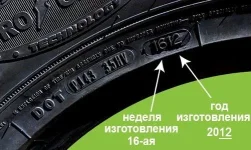 10240784.webp