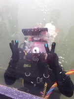 13339433_1625029357817143_235846031110987526_n.webp