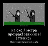 dm_temp_image_32009172335123955981.webp
