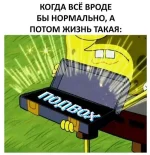 10273237.webp