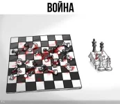 10330558.webp