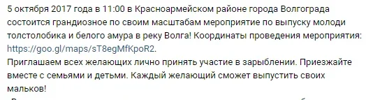 Снимок.webp