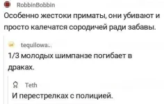 22221702_1845928332384885_8529431243257019123_n.webp