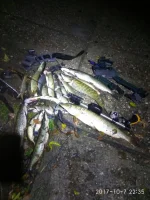 IMG-20171007-WA0042.webp