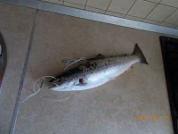 DSCN1358.webp