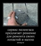 dm_temp_image_31310171930212120737.jpg
