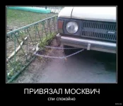 3.webp