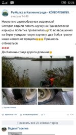 бобры и рыбалка.jpg