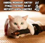 22728695_1568522986546508_445697984379689574_n.webp