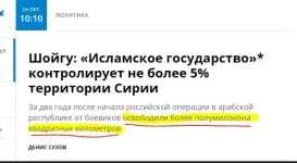 Шойгу-ложь-исламское-государство-сирия-4121883.webp