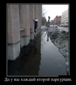 14.webp