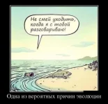 15.webp