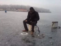 10557901.webp