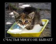 1503480505_demotivatory_11.webp