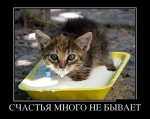 1503480505_demotivatory_11.jpg