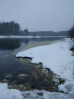 IMG-20171203-WA0013.webp