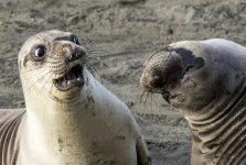 George-Cathcart_WTF_D.webp