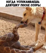 D3.webp