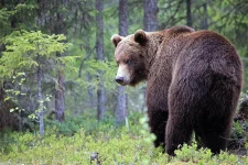 u1GMx4H7ofI-К.webp