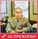 10865252.webp