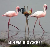 RExjA8rJz-M.webp