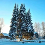 jGNveMafsWU.-K.webp