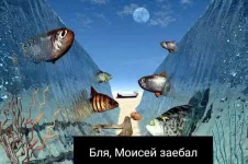FB_IMG_1517009393037.webp