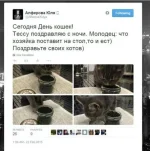 10719598.webp