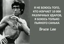 11095843.webp