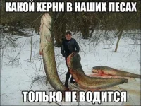11116745.webp