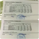 11083202.webp