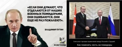 11167607.webp