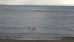 IMG-20180401-WA0098.jpg