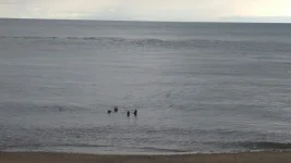 IMG-20180401-WA0098.webp