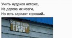 11319051.jpg