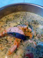 IMG-20180407-WA0002.webp
