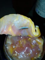 IMG-20180407-WA0008.webp