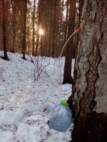 IMG-20180408-WA0000.jpg