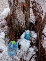 IMG-20180408-WA0001.jpg